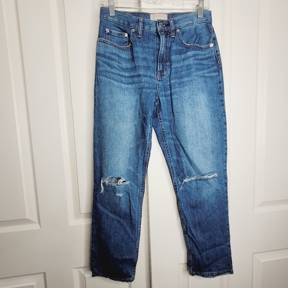 Everlane Womens The Summer Boyfriend Jean Size 25 Distressed Medium Wash